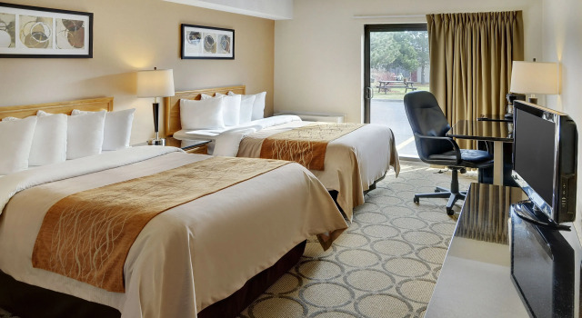 Четырёхместный номер Standard Comfort Inn Thunder Bay