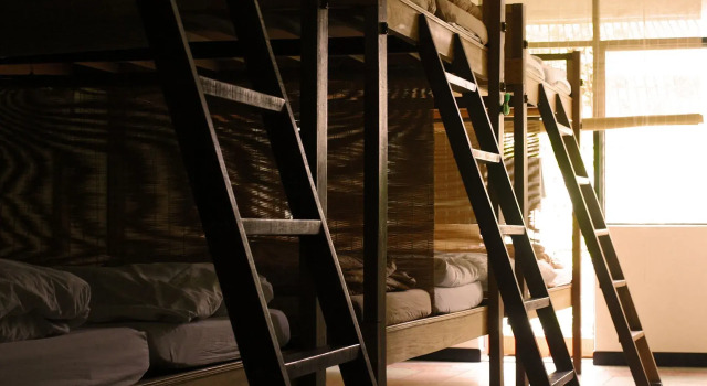 Кровать в общем номере Born Free Hostel