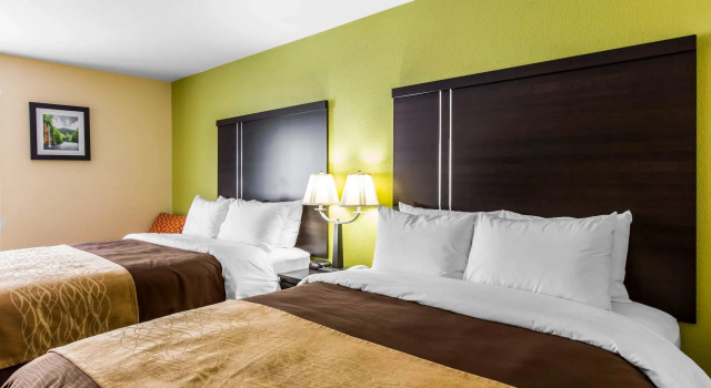 Четырёхместный номер Standard Quality Inn West of Asheville