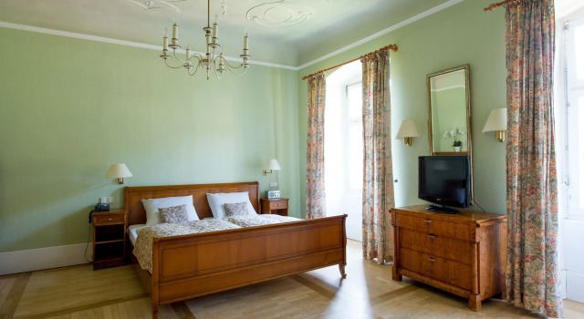 Двухместный номер Standard с красивым видом из окна Hotel Schloss Heinsheim