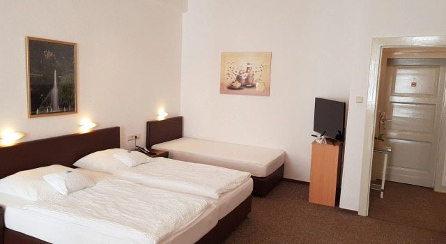 Трёхместный номер Standard Hotel zum Anker