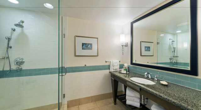 Люкс с 3 комнатами Hilton Grand Vacations Club Parc Soleil Orlando