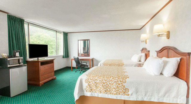 Номер Business Schenectady Inn & Suites