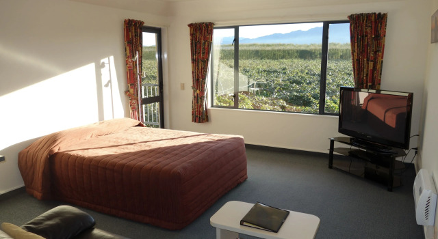 Апартаменты c 1 комнатой Avalon Manor Motel