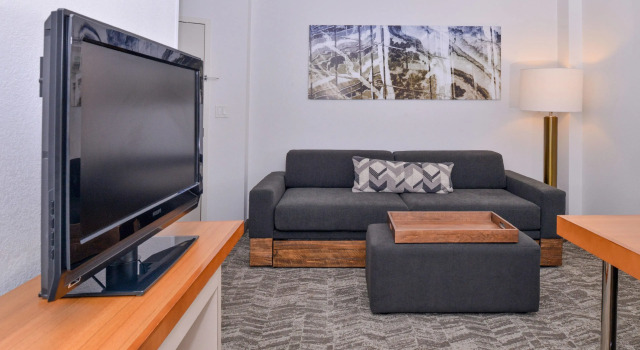 Двухместный люкс SpringHill Suites Fairfax Fair Oaks