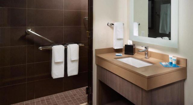 Двухместный номер Hyatt House Atlanta Downtown