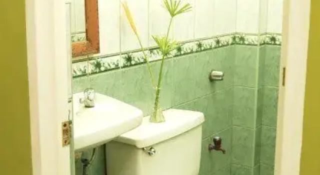 Одноместный номер Standard Bamboo Garden Business Inn
