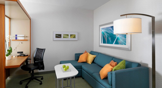 Студия SpringHill Suites by Marriott Mobile West