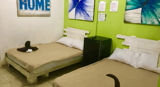 Номер Standard Guacamundo Beach Hostel