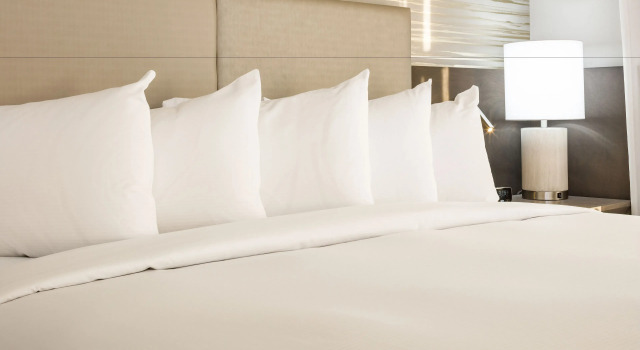 Двухместный номер Standard DoubleTree by Hilton Boston Logan Airport Chelsea