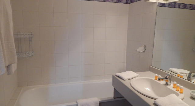 Трёхместный номер Standard Hotel Du Parc