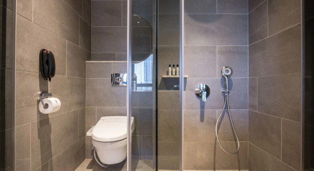 Двухместный номер Standard Park Lees Hotel