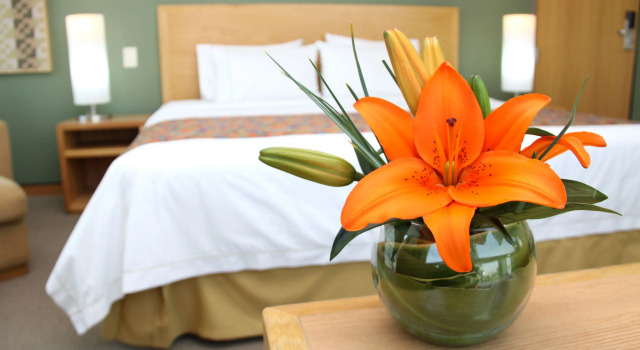 Двухместный номер Standard Holiday Inn Express Mexico Reforma by IHG