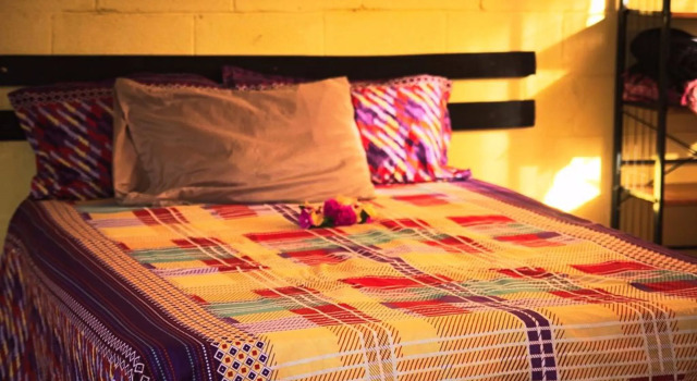Номер Standard The Beehive Fiji
