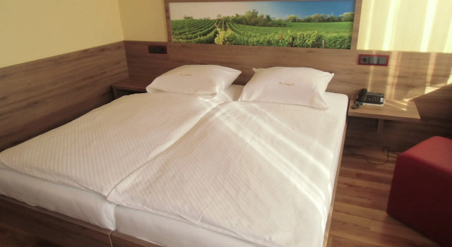 Двухместный номер Standard Hotel-Gasthof Zum Freigericht