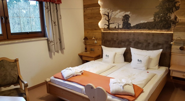 Двухместный номер Standard Hotel und Restaurant Köhlerhütte - Fürstenbrunn