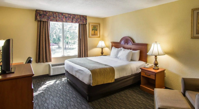 Двухместный номер Standard Comfort Inn & Suites Jupiter I-95