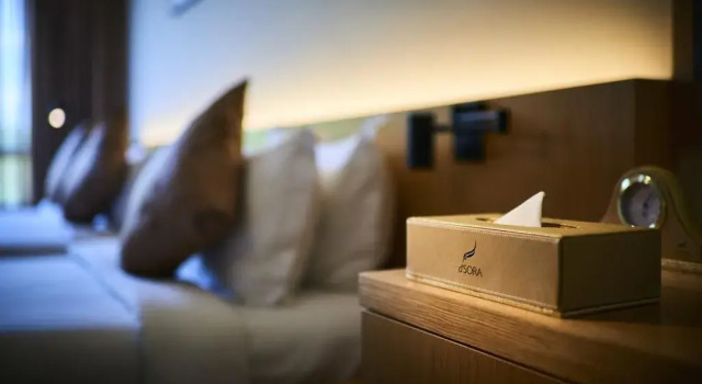 Двухместный номер Superior dSora Boutique Business Hotel