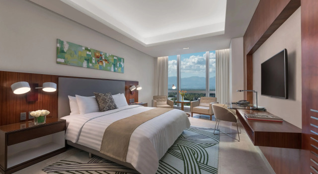 Номер Deluxe Отель Richmonde Hotel Iloilo