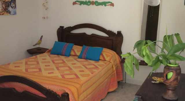 Номер Standard Posada Nativa Lizard House