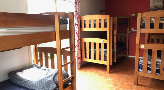 Кровать в общем номере The Bug Backpackers