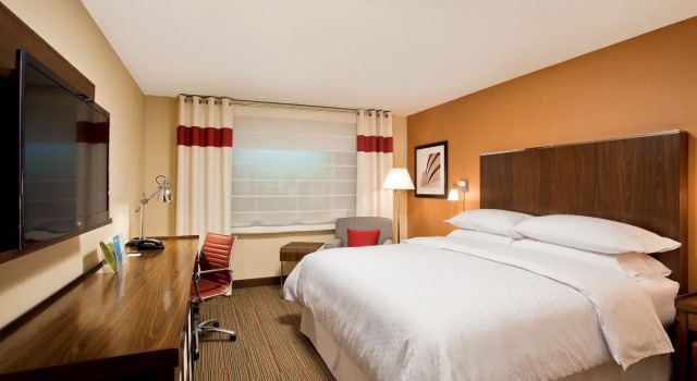Двухместный номер Standard Four Points by Sheraton Saltillo