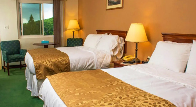 Номер Comfort Alpine Lake Resort