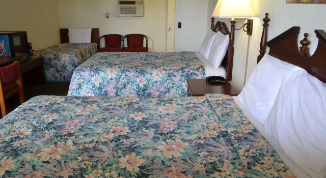 Номер Standard Budget Inn
