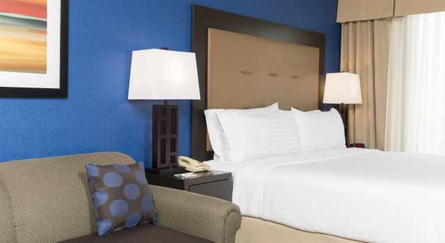 Двухместный номер Standard Holiday Inn Chicago - Elk Grove
