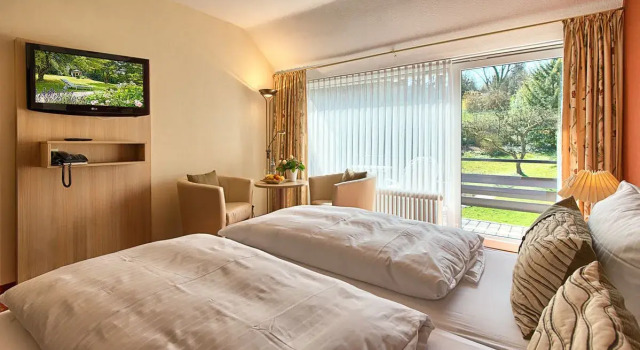 Двухместный номер Standard Hotel Burgblick