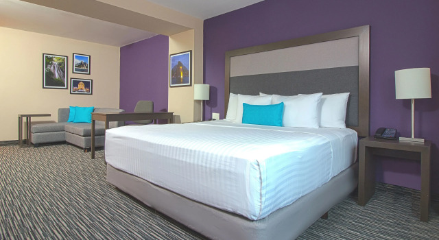 Двухместный номер Executive CHN Hotel Monterrey Aeropuerto, Trademark by Wyndham