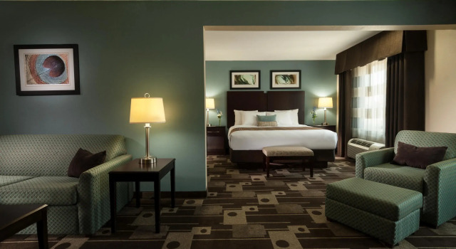 Двухместный люкс Spark By Hilton Houston Bush Intercontinental Airport