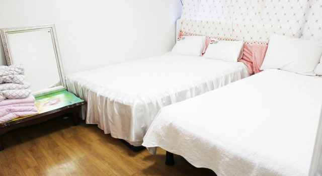 Camera Standard artist77house