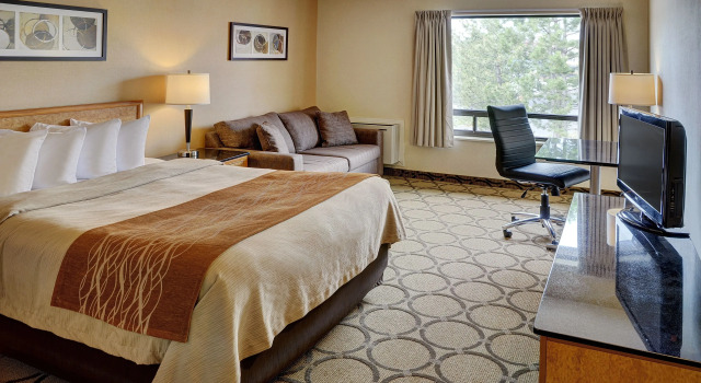 Двухместный номер Standard Comfort Inn Cobourg - Port Hope