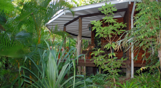 Suite Estándar Mt Warning Rainforest Retreat