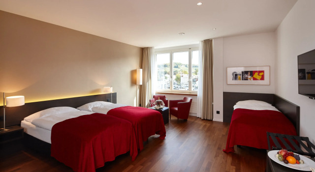 Номер Business Hotel Banana City Winterthur