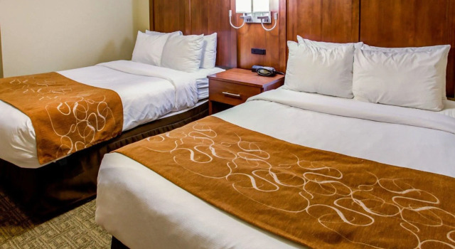 Четырёхместный люкс Comfort Suites Georgetown