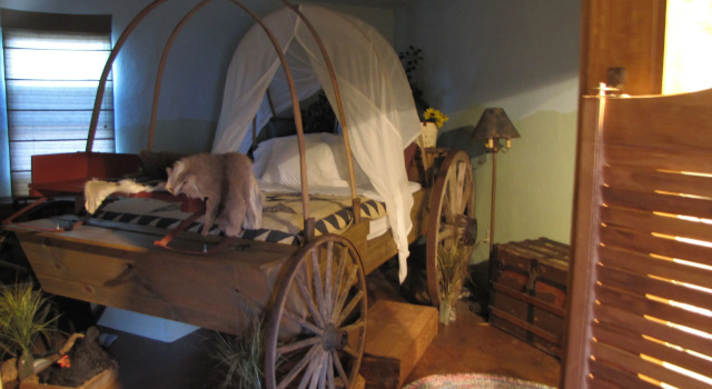 Suite Covered Wagon B&B Guesthouse
