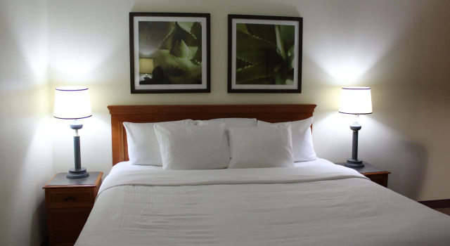 Двухместный номер Standard La Quinta by Wyndham Tampa Brandon West