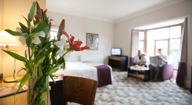 Двухместный номер Staindrop Hotel
