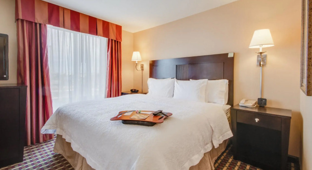 Двухместный люкс Hampton Inn & Suites Las Cruces I-25