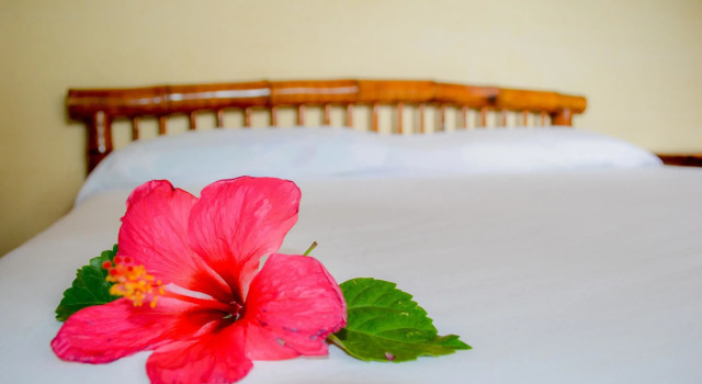 Апартаменты Bungalows La Madera