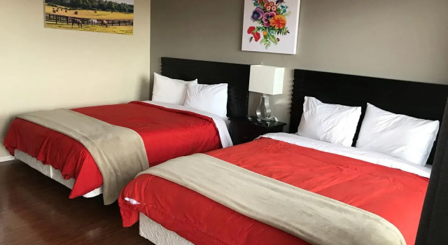 Standardní Čtyřlůžkový pokoj Skyview Motel