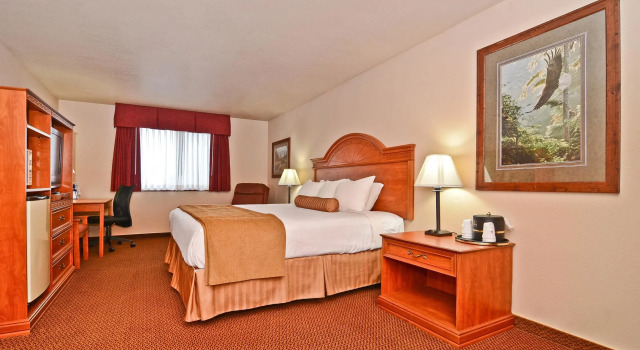 Двухместный номер Business Best Western Bidarka Inn