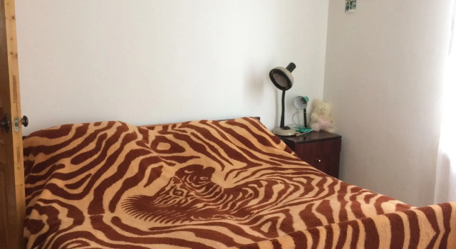 Номер Economy Отель Mount view