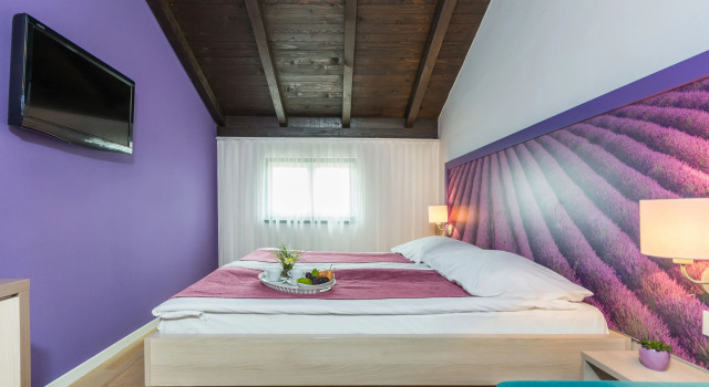 Двухместный номер Standard Hotel Vista