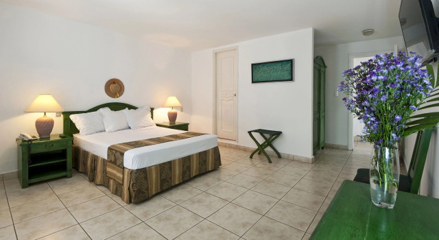 Номер Standard Hotel Casa Real