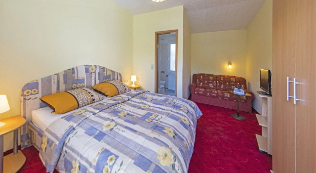 Двухместный номер Standard Hotel Waldidyll