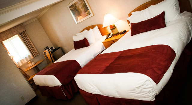 Четырёхместный номер Standard The Margate Resort