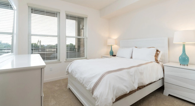 Апартаменты Luxury Bluebird Suites in Silicon Valley